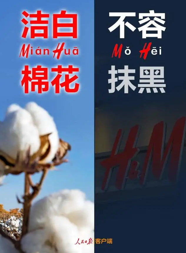 潔白棉花，不容抹黑，花榮華與華一起