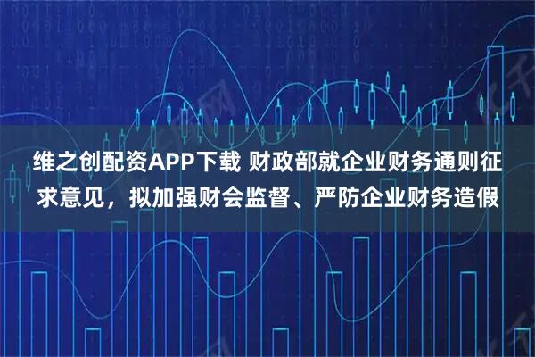 维之创配资APP下载 财政部就企业财务通则征求意见，拟加强财会监督、严防企业财务造假