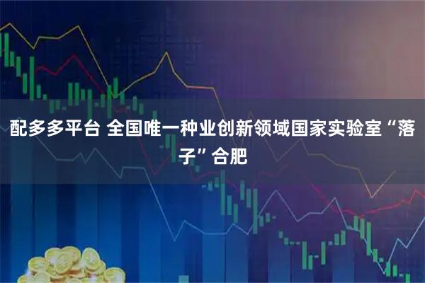 配多多平台 全国唯一种业创新领域国家实验室“落子”合肥