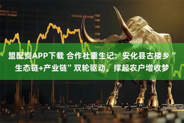 盟配资APP下载 合作社重生记：安化县古楼乡“生态链+产业链”双轮驱动，撑起农户增收梦