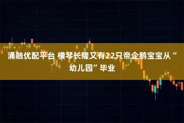 涌融优配平台 横琴长隆又有22只帝企鹅宝宝从“幼儿园”毕业