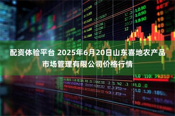 配资体验平台 2025年6月20日山东喜地农产品市场管理有限公司价格行情